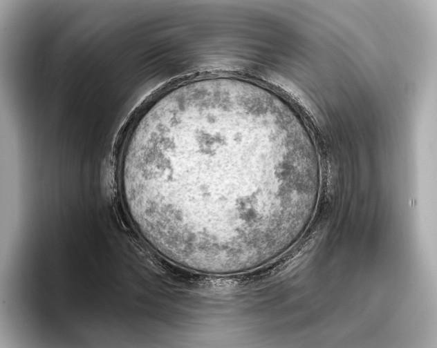 X0000096950878200802221320