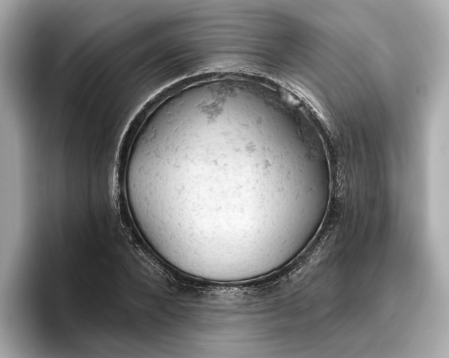 X0000096950880200802221320