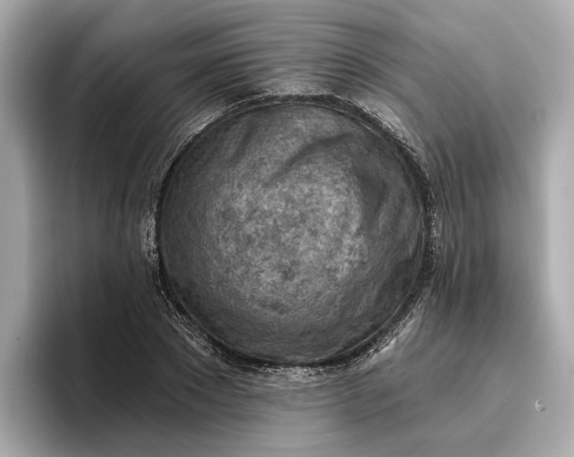 X0000096950881200802221320