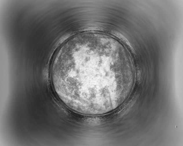 X0000096950882200802221320
