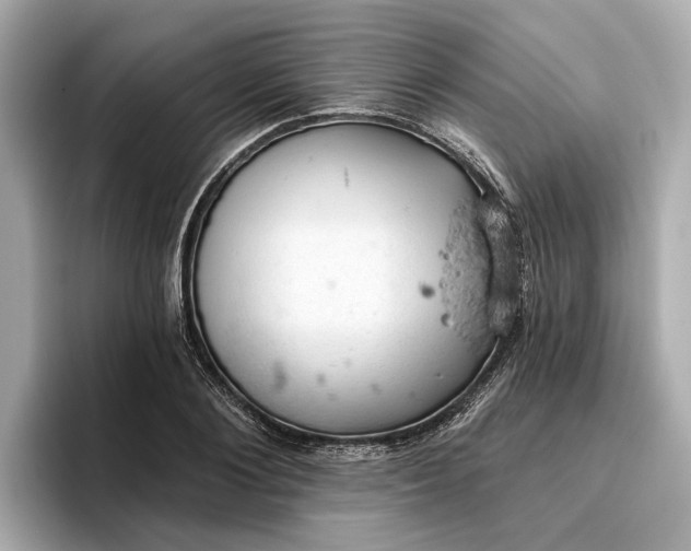 X0000096950884200802221320