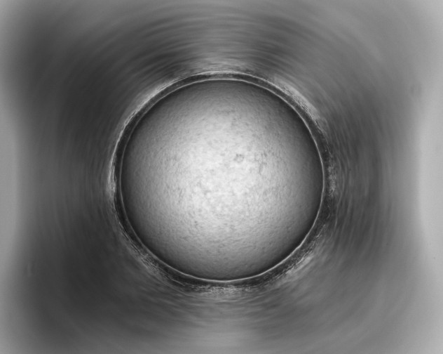 X0000096950885200802221320