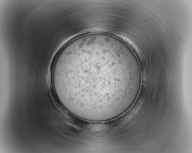 X0000096950886200802221320