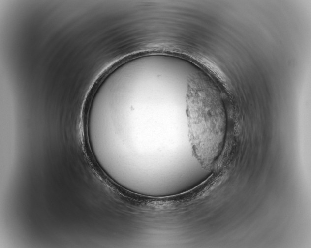 X0000096950888200802221320