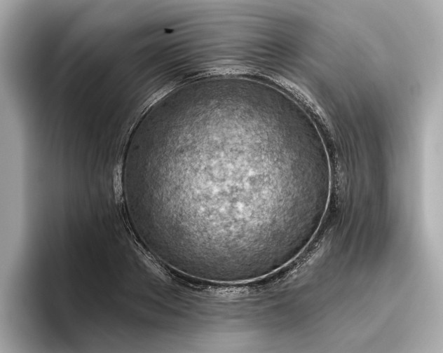 X0000096950889200802221320