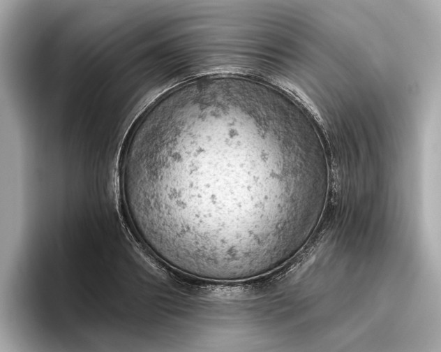 X0000096950890200802221320