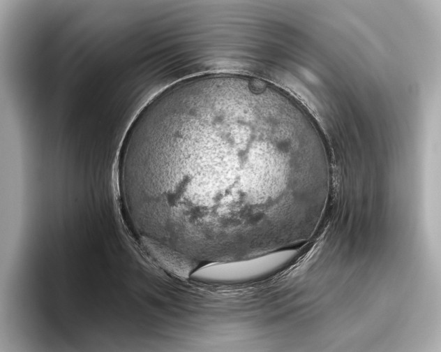 X0000096950891200802221320