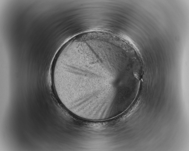 X0000096950892200802221320