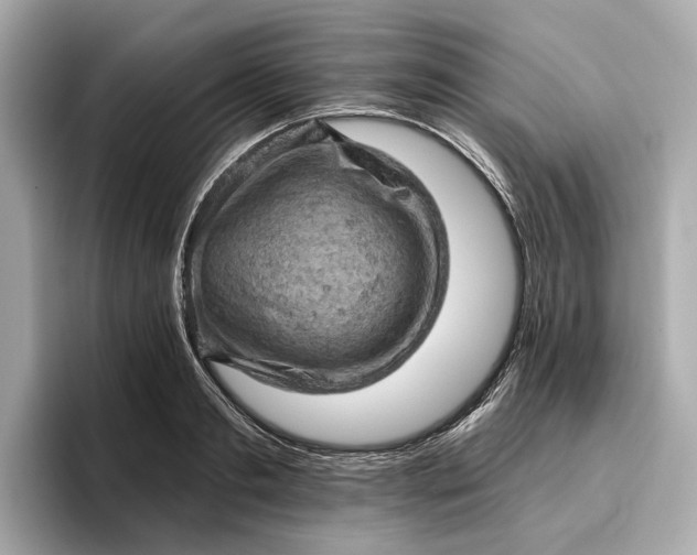 X0000096950893200802221320