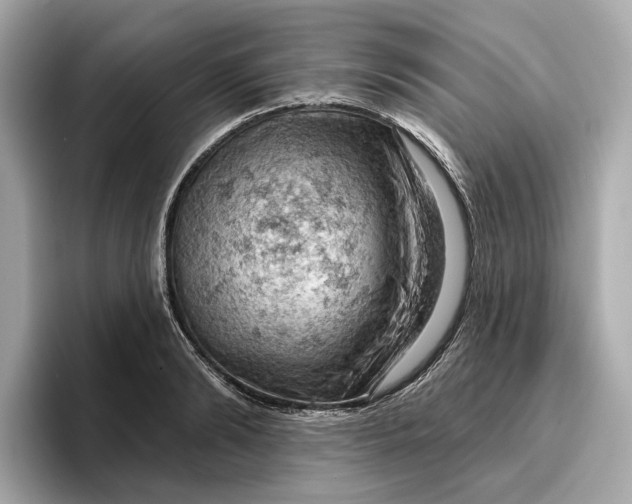 X0000096950894200802221320