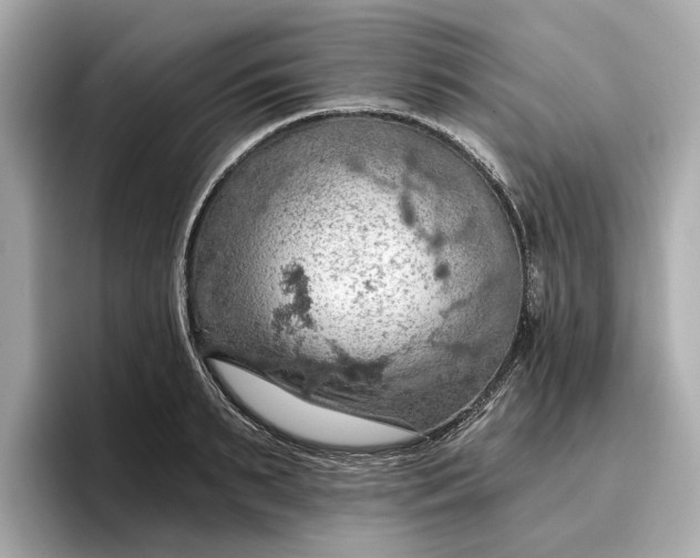 X0000096950895200802221320