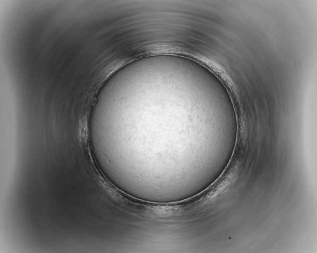 X0000096950897200802221320