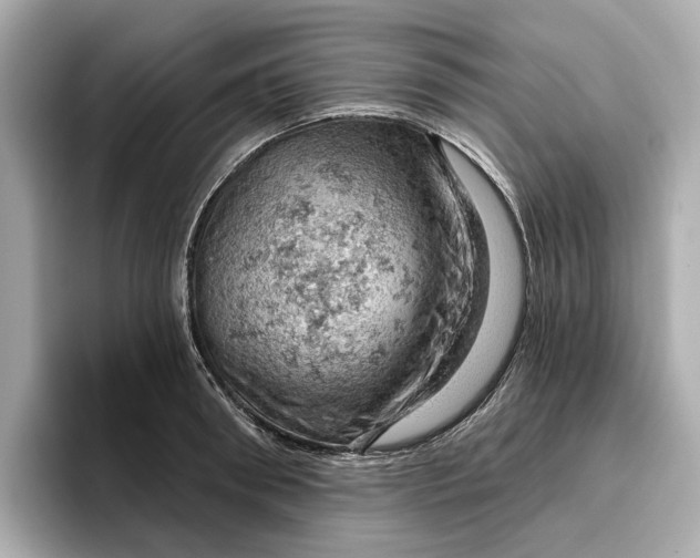 X0000096950898200802221320