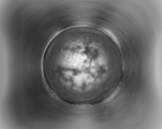 X0000096950899200802221320