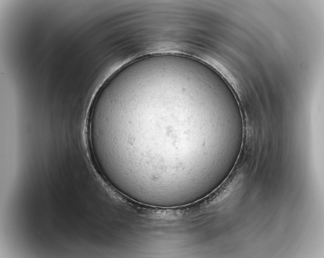 X0000096950901200802221320