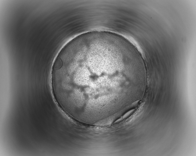 X0000096950903200802221320