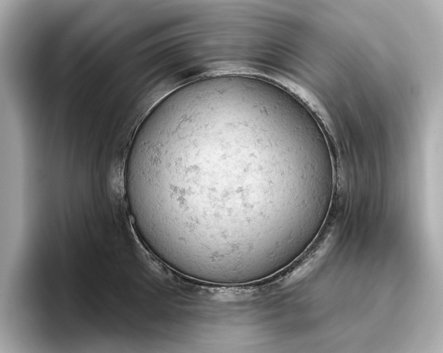 X0000096950905200802221320