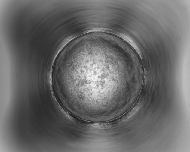 X0000096950906200802221320
