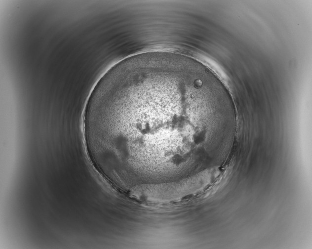 X0000096950907200802221320