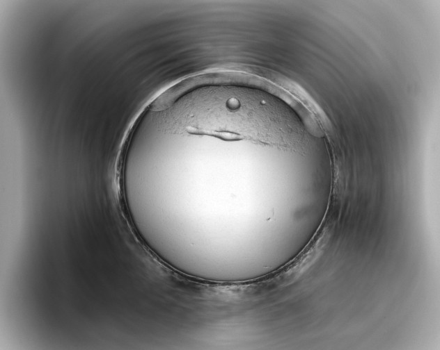 X0000096950908200802221319