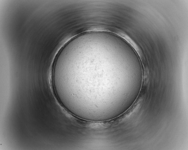 X0000096950909200802221319