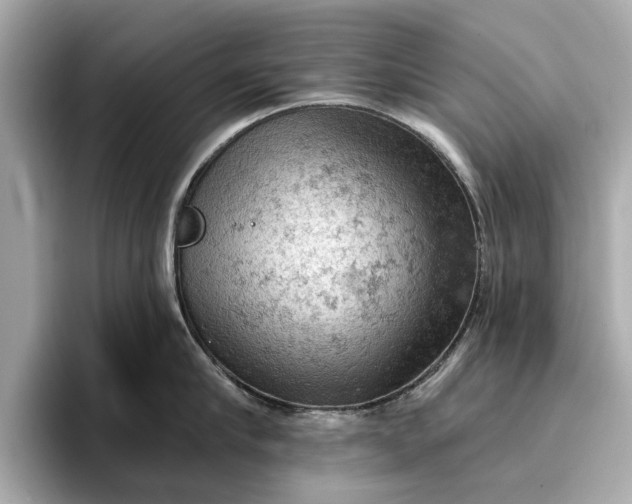 X0000096950910200802221319