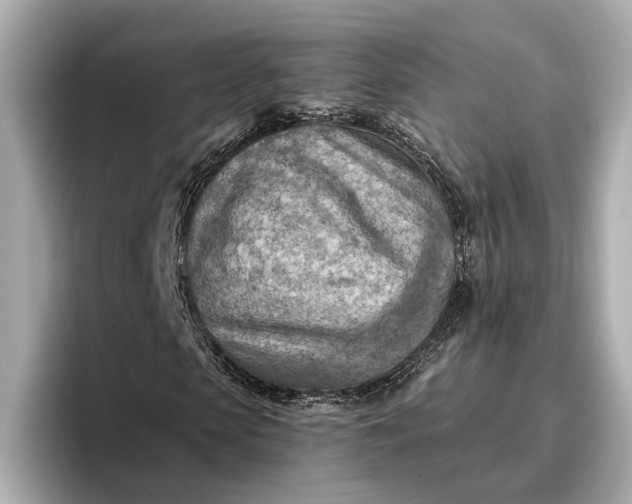 X0000096950913200802221319