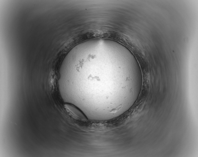 X0000096950914200802221319