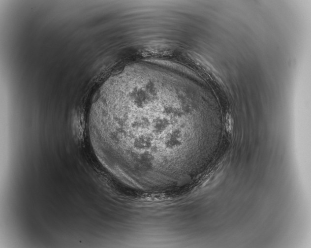 X0000096950915200802221319