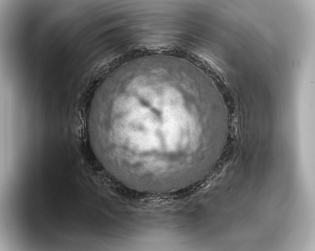 X0000096950917200802221319