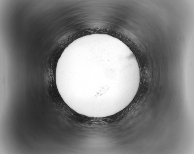 X0000096950918200802221319