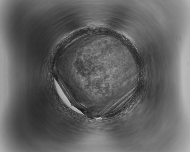 X0000096950919200802221319