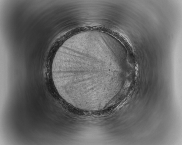 X0000096950920200802221319