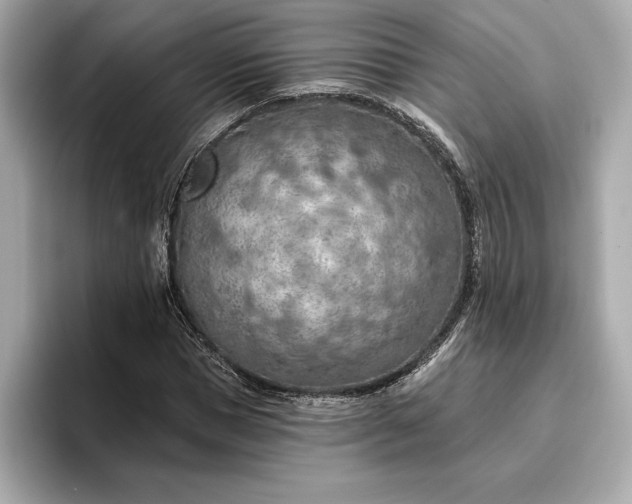 X0000096950921200802221319