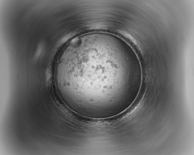X0000096950922200802221319
