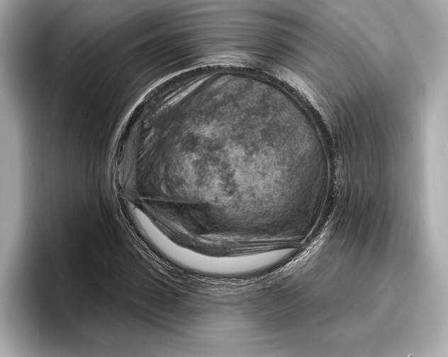 X0000096950923200802221319