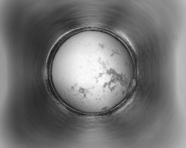 X0000096950924200802221319