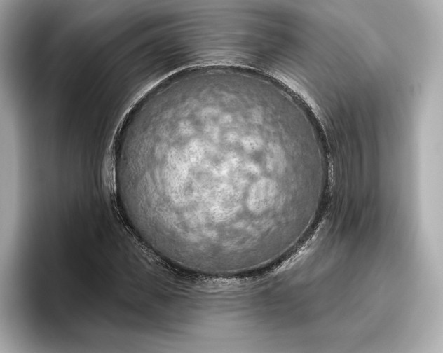 X0000096950925200802221319
