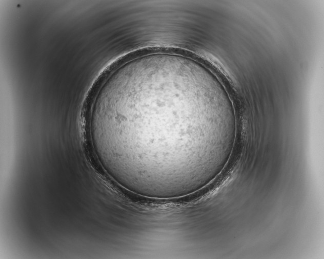 X0000096950926200802221319