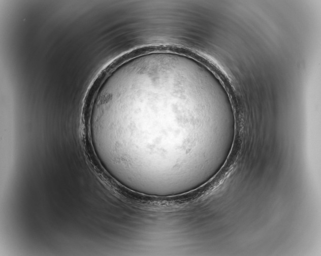 X0000096950927200802221319