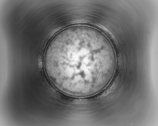 X0000096950929200802221319