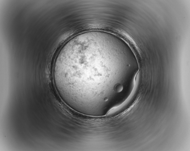 X0000096950930200802221319