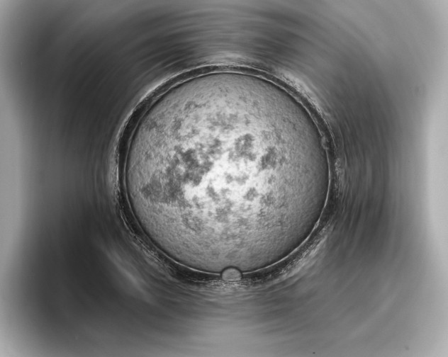 X0000096950931200802221319