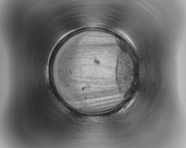 X0000096950932200802221319