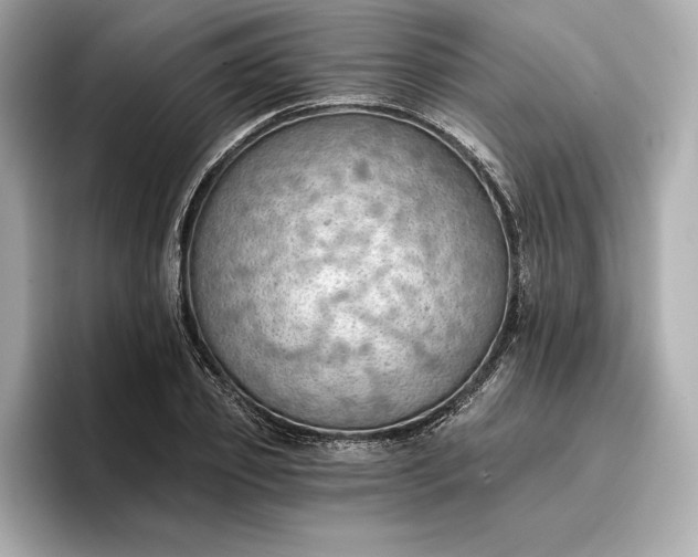 X0000096950933200802221319