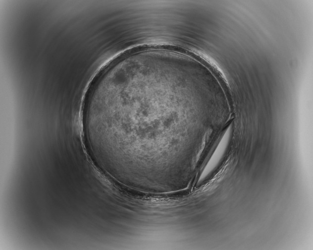 X0000096950935200802221319