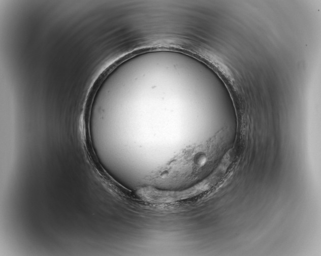 X0000096950936200802221319