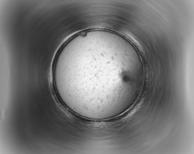 X0000096950940200802221319