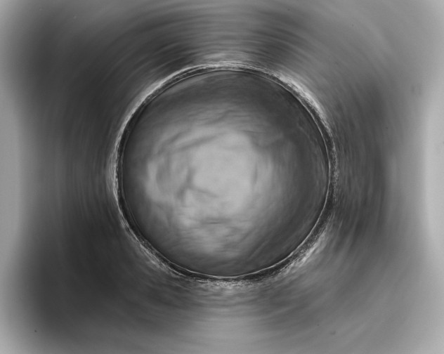 X0000096950941200802221319
