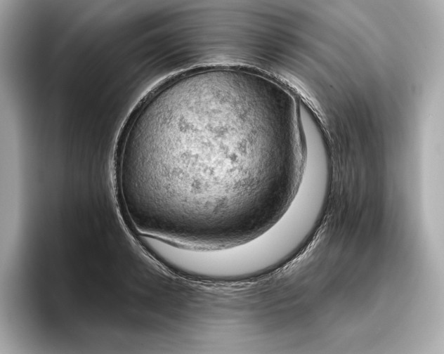 X0000096950942200802221319